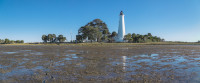 St. Marks NWR - Lighthouse Pool and Flats